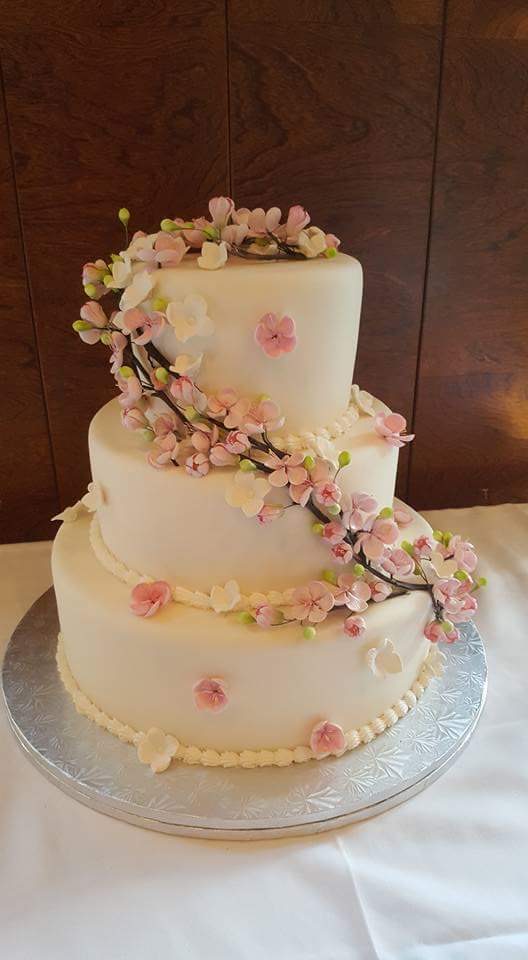Cherry Blossom